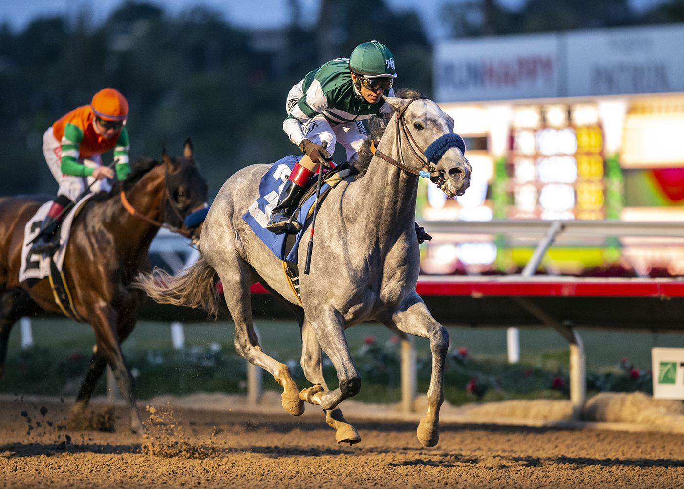 Salah M. Hassanein Memorial “Day at The Races”